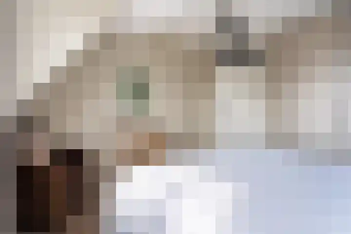 Spiraeastraat 15 Ederveen thumbnail 22