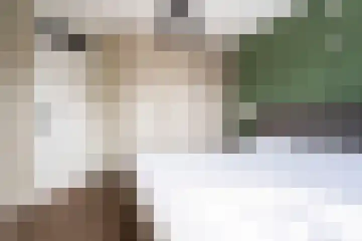 Spiraeastraat 15 Ederveen thumbnail 23