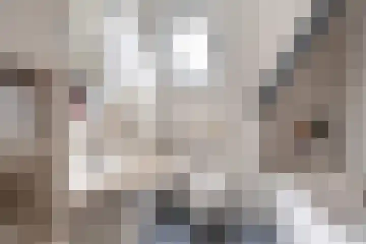 Spiraeastraat 15 Ederveen thumbnail 24