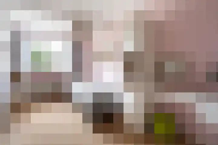 Spiraeastraat 15 Ederveen thumbnail 26