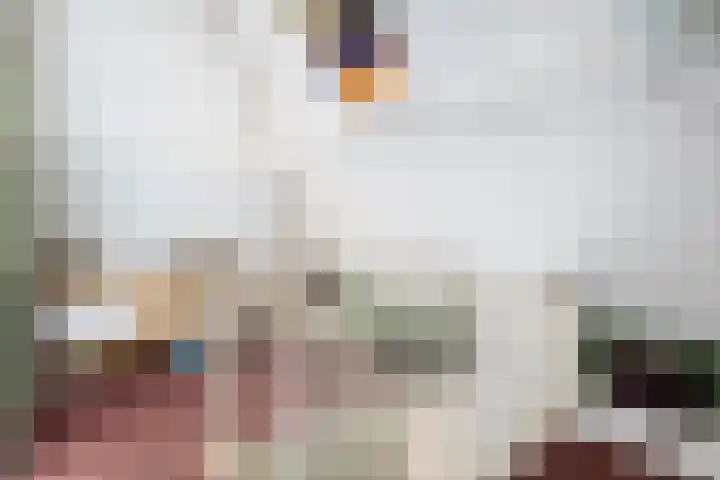 Spiraeastraat 15 Ederveen thumbnail 35