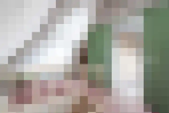 Spiraeastraat 15 Ederveen thumbnail 36