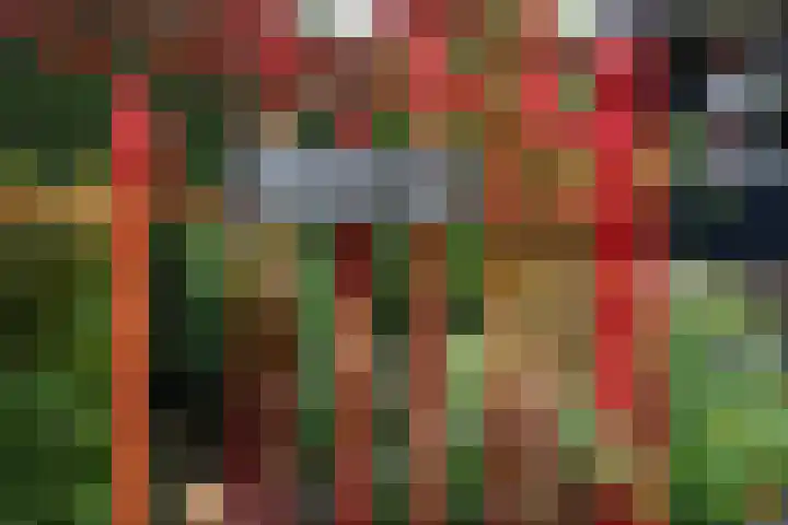 Spiraeastraat 15 Ederveen thumbnail 42