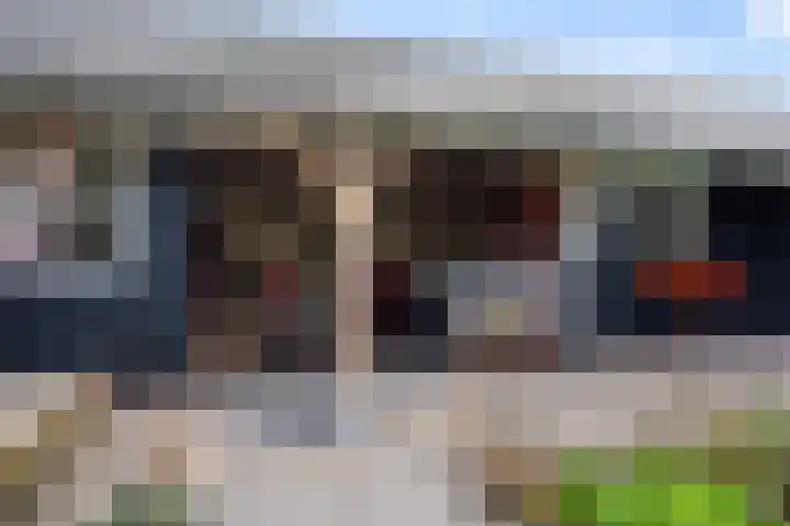 Spiraeastraat 15 Ederveen thumbnail 43