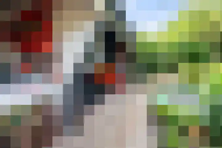 Spiraeastraat 15 Ederveen thumbnail 46