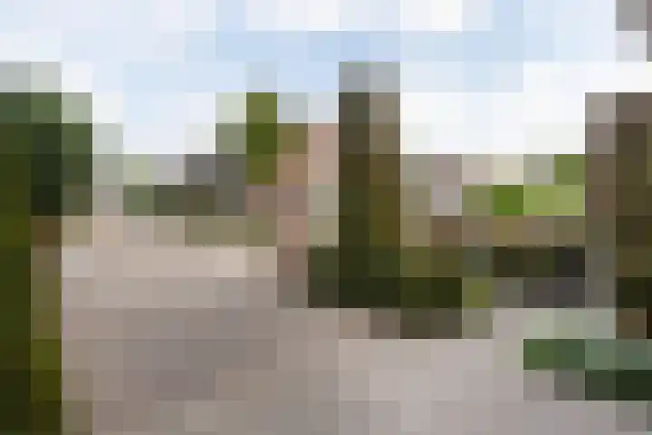 Spiraeastraat 15 Ederveen thumbnail 56