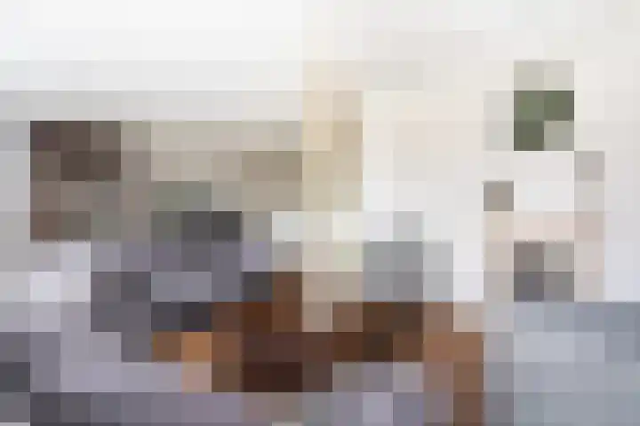 Spiraeastraat 15 Ederveen thumbnail 6