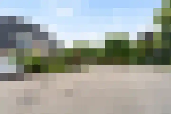 Spiraeastraat 15 Ederveen thumbnail 61