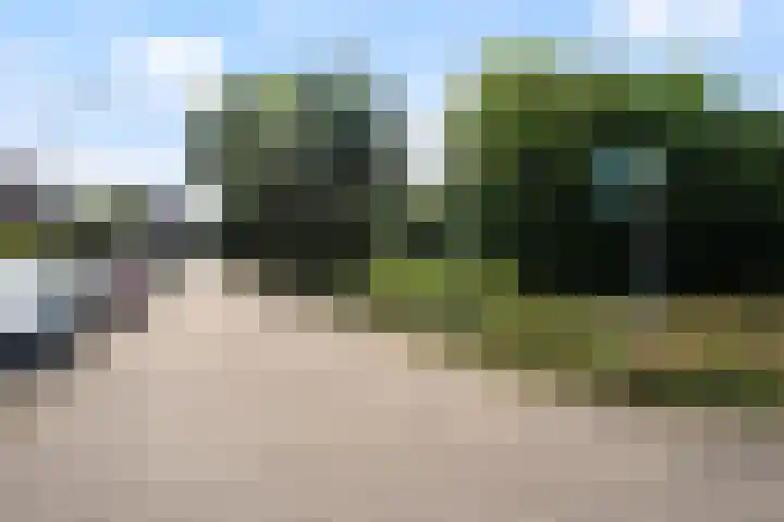 Spiraeastraat 15 Ederveen thumbnail 62