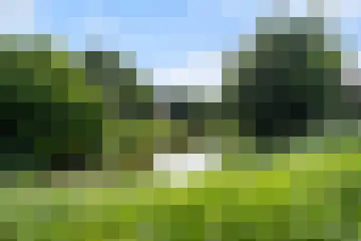 Spiraeastraat 15 Ederveen thumbnail 63