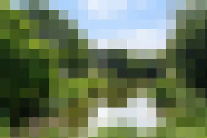 Spiraeastraat 15 Ederveen thumbnail 64