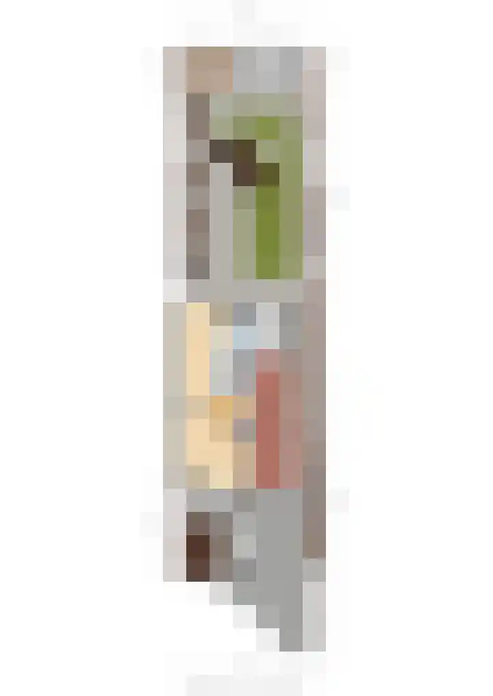 Spiraeastraat 15 Ederveen thumbnail 65