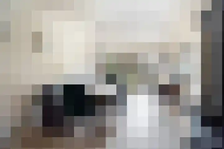 Spiraeastraat 15 Ederveen thumbnail 8