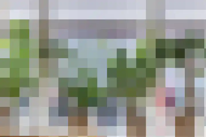 Spiraeastraat 16 Eindhoven thumbnail 13