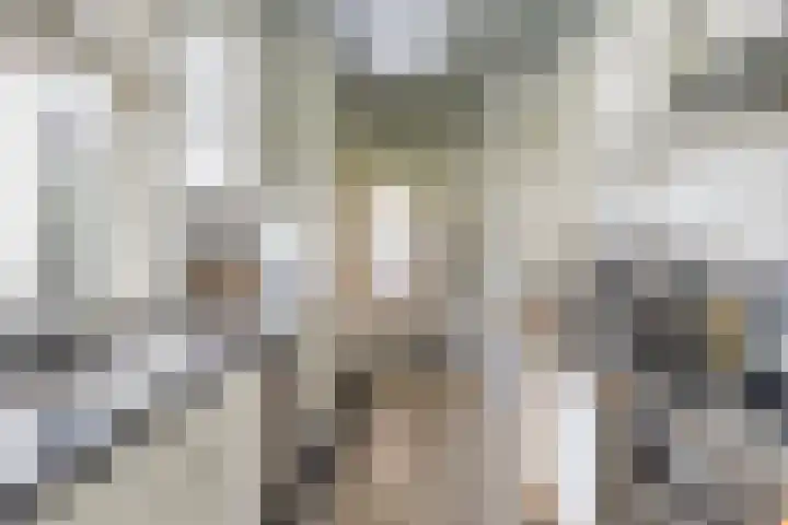 Spiraeastraat 16 Eindhoven thumbnail 14