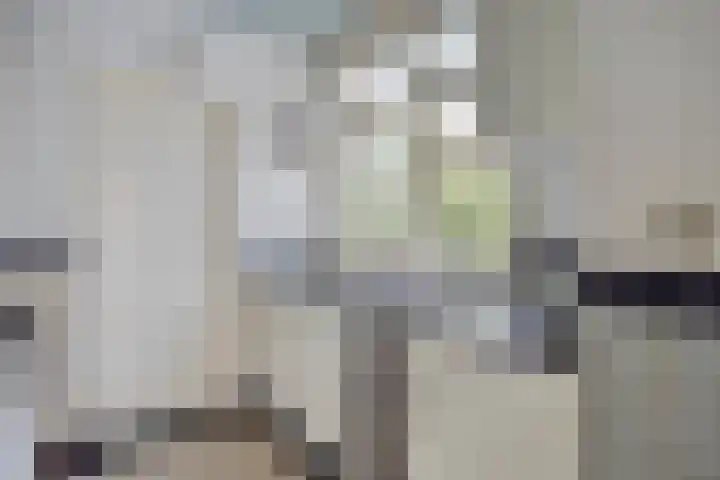 Spiraeastraat 16 Eindhoven thumbnail 17