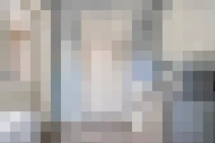 Spiraeastraat 16 Eindhoven thumbnail 18