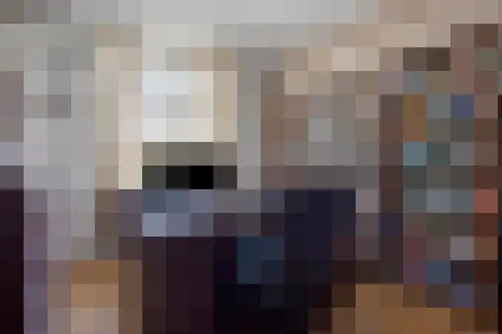 Spiraeastraat 16 Eindhoven thumbnail 20