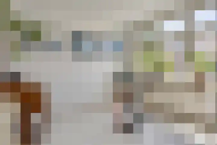 Spiraeastraat 16 Eindhoven thumbnail 21