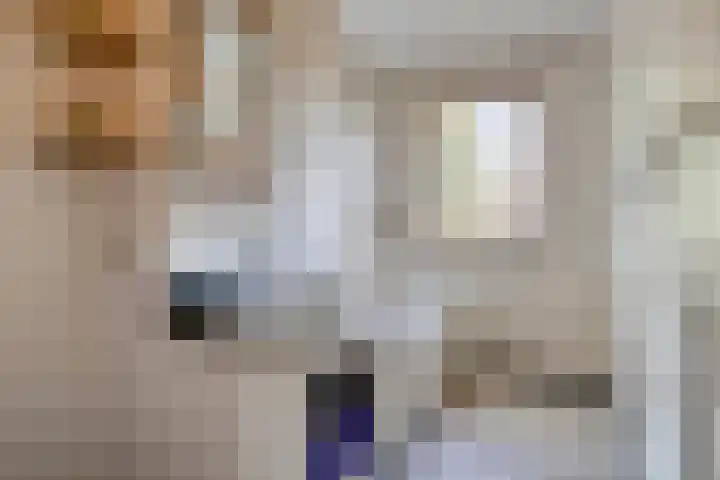 Spiraeastraat 16 Eindhoven thumbnail 23
