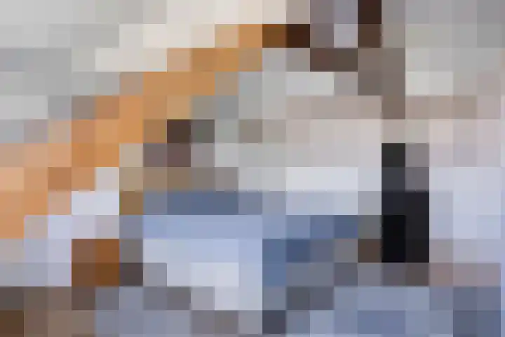Spiraeastraat 16 Eindhoven thumbnail 26