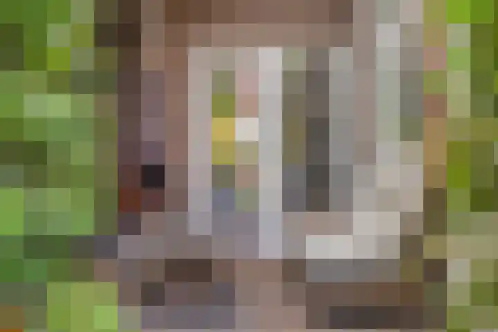 Spiraeastraat 16 Eindhoven thumbnail 27