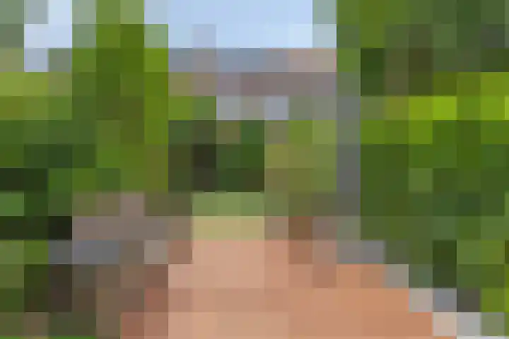 Spiraeastraat 16 Eindhoven thumbnail 28