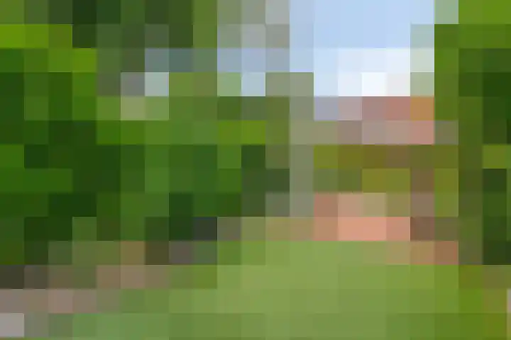 Spiraeastraat 16 Eindhoven thumbnail 29