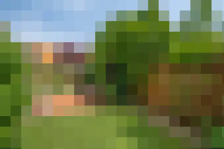 Spiraeastraat 16 Eindhoven thumbnail 30