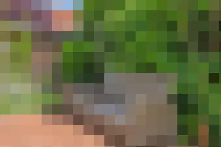 Spiraeastraat 16 Eindhoven thumbnail 31