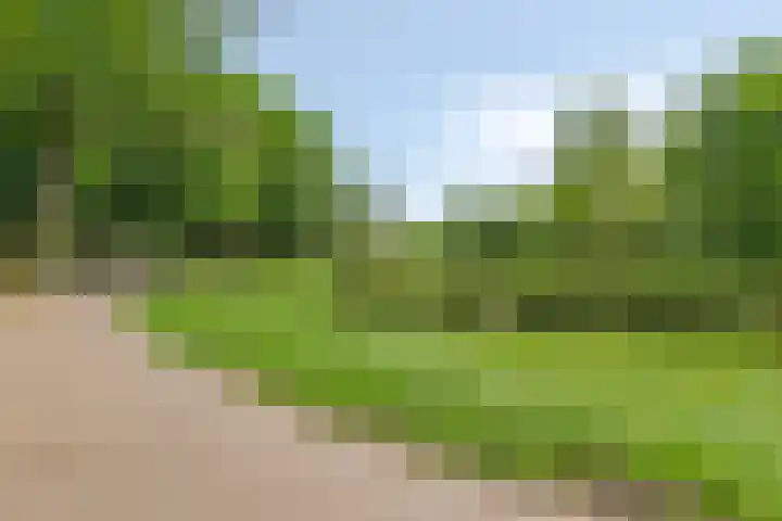 Spiraeastraat 16 Eindhoven thumbnail 32