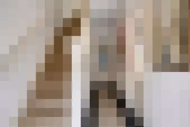 Spiraeastraat 16 Eindhoven thumbnail 4