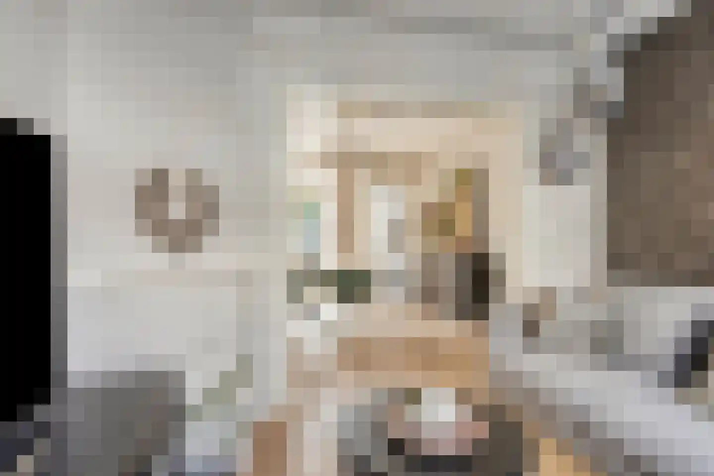 Spiraeastraat 27 Eindhoven thumbnail 10