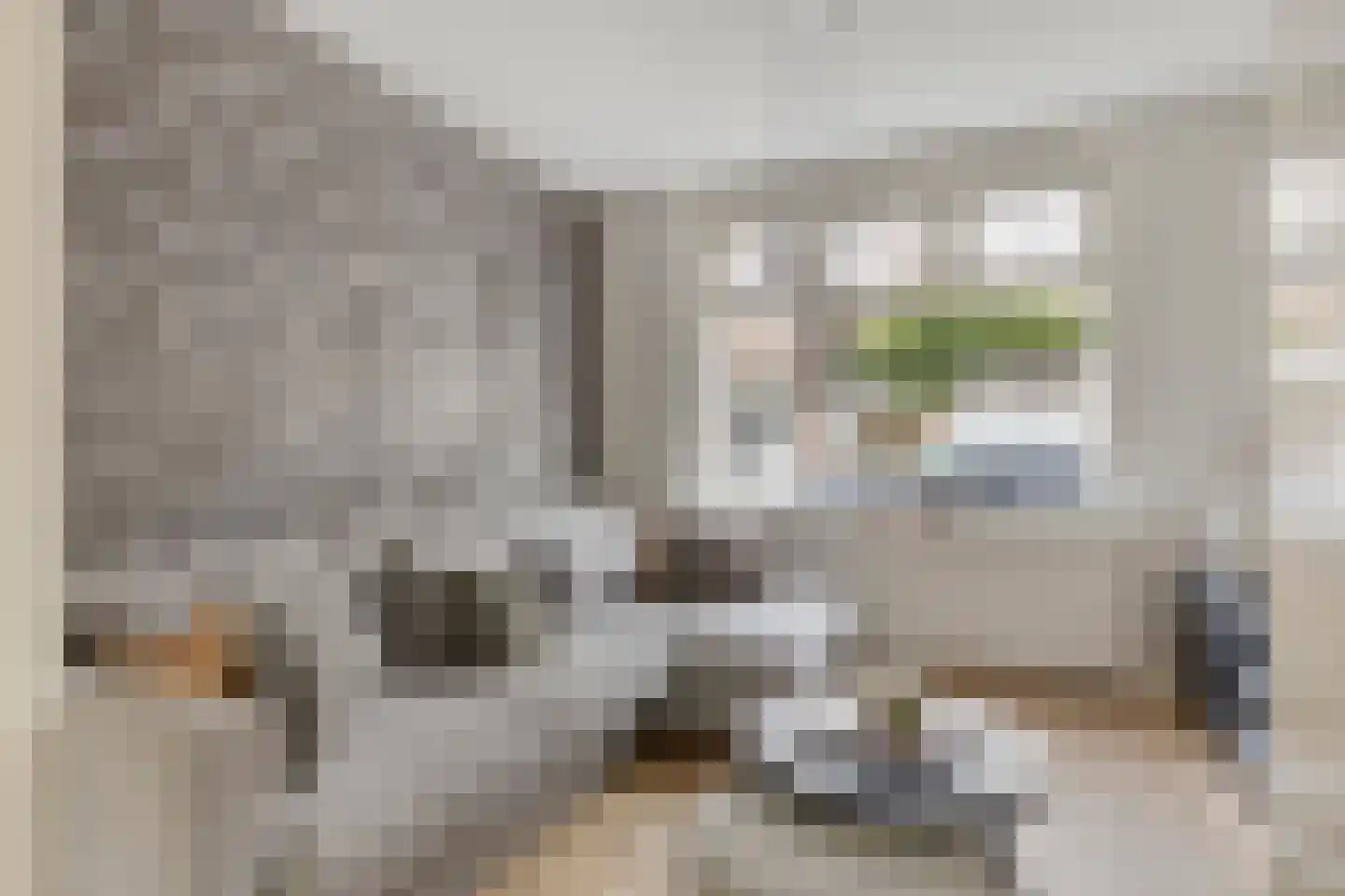 Spiraeastraat 27 Eindhoven thumbnail 13