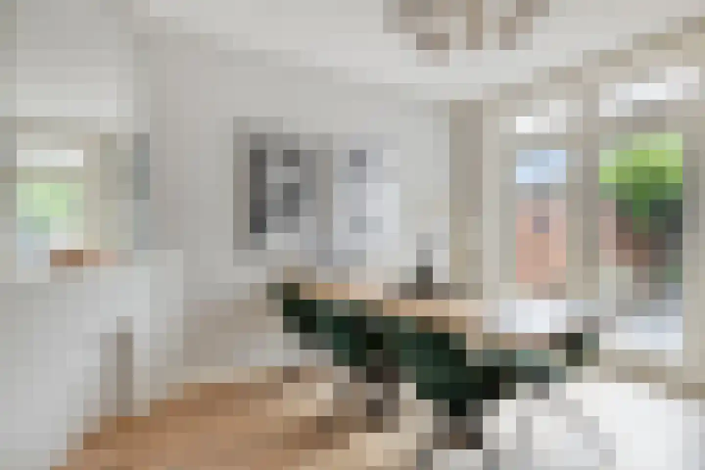 Spiraeastraat 27 Eindhoven thumbnail 15