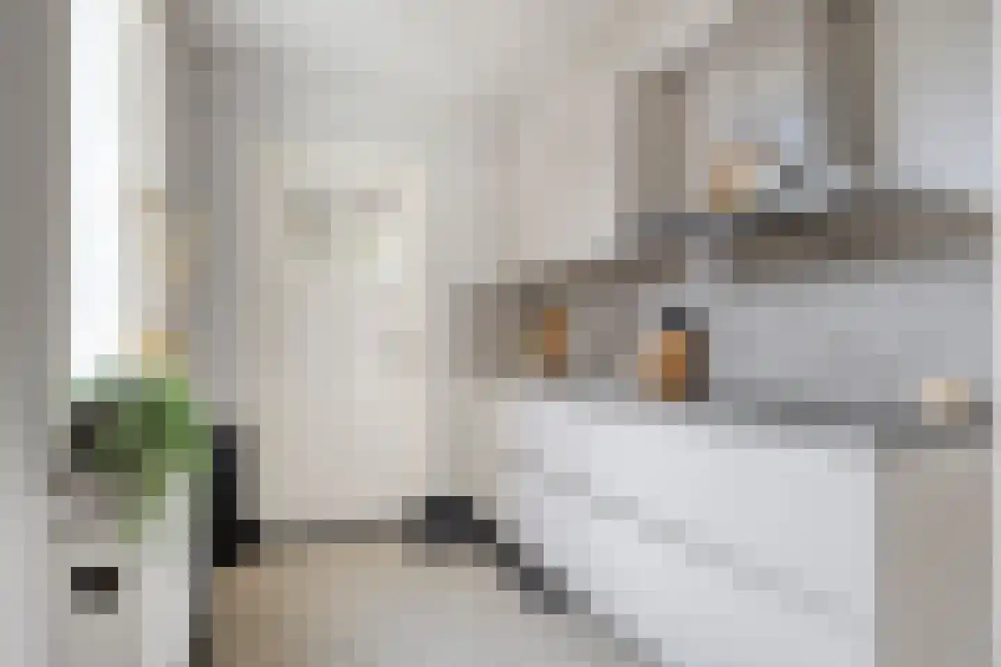 Spiraeastraat 27 Eindhoven thumbnail 20