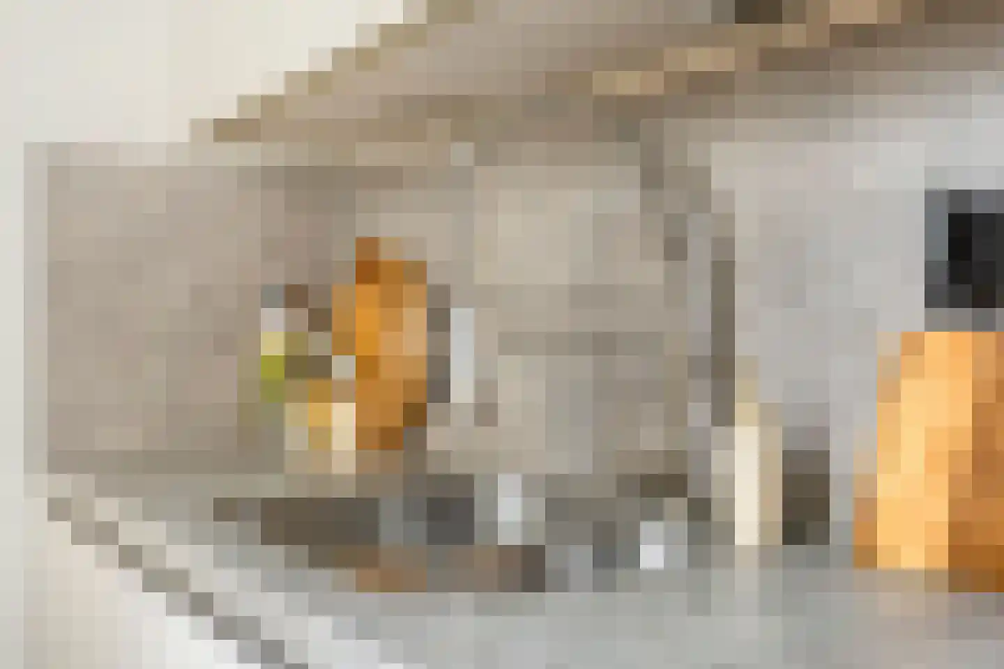 Spiraeastraat 27 Eindhoven thumbnail 21