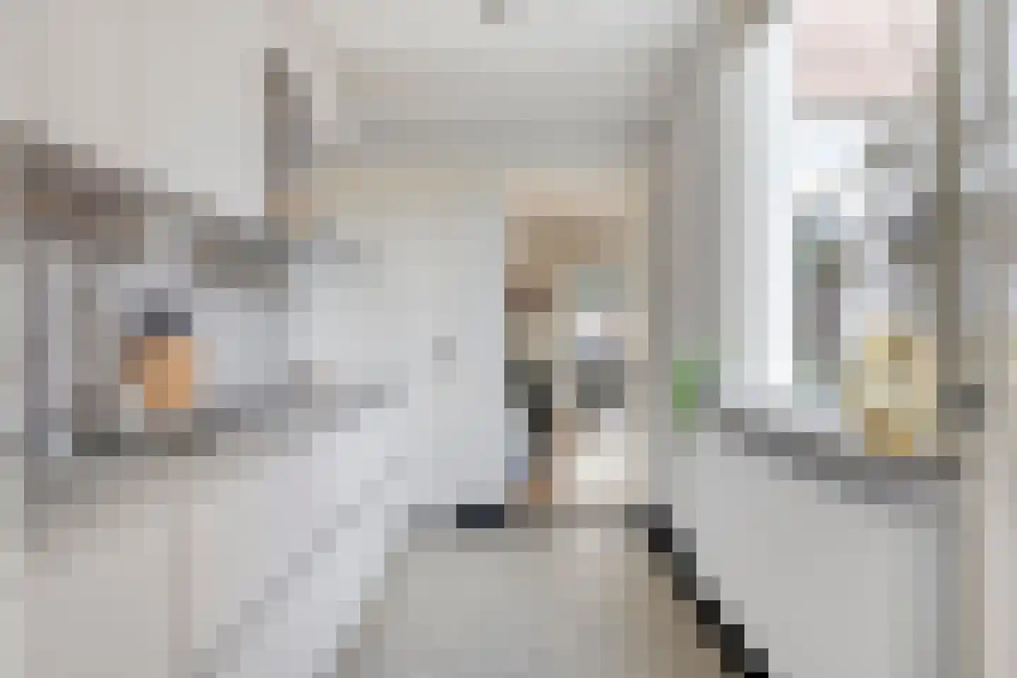 Spiraeastraat 27 Eindhoven thumbnail 22