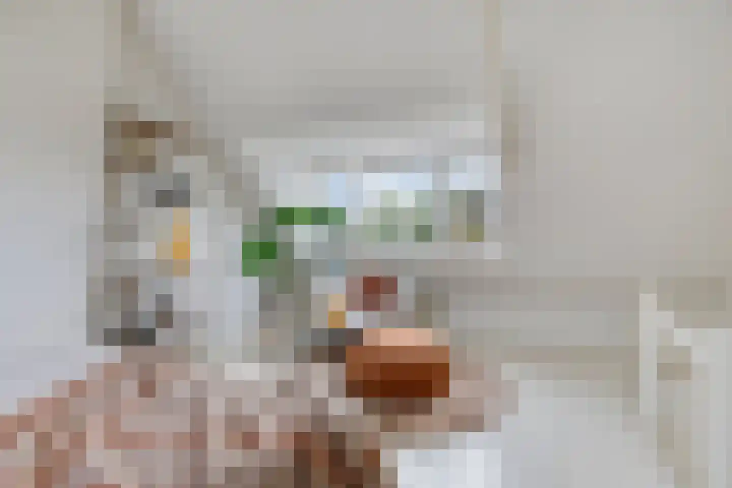 Spiraeastraat 27 Eindhoven thumbnail 37