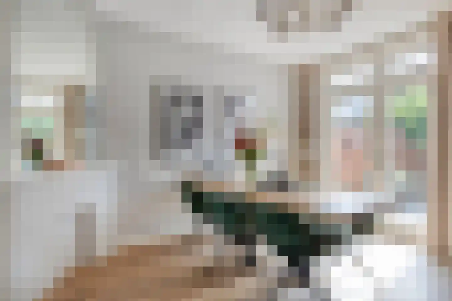 Spiraeastraat 27 Eindhoven thumbnail 4