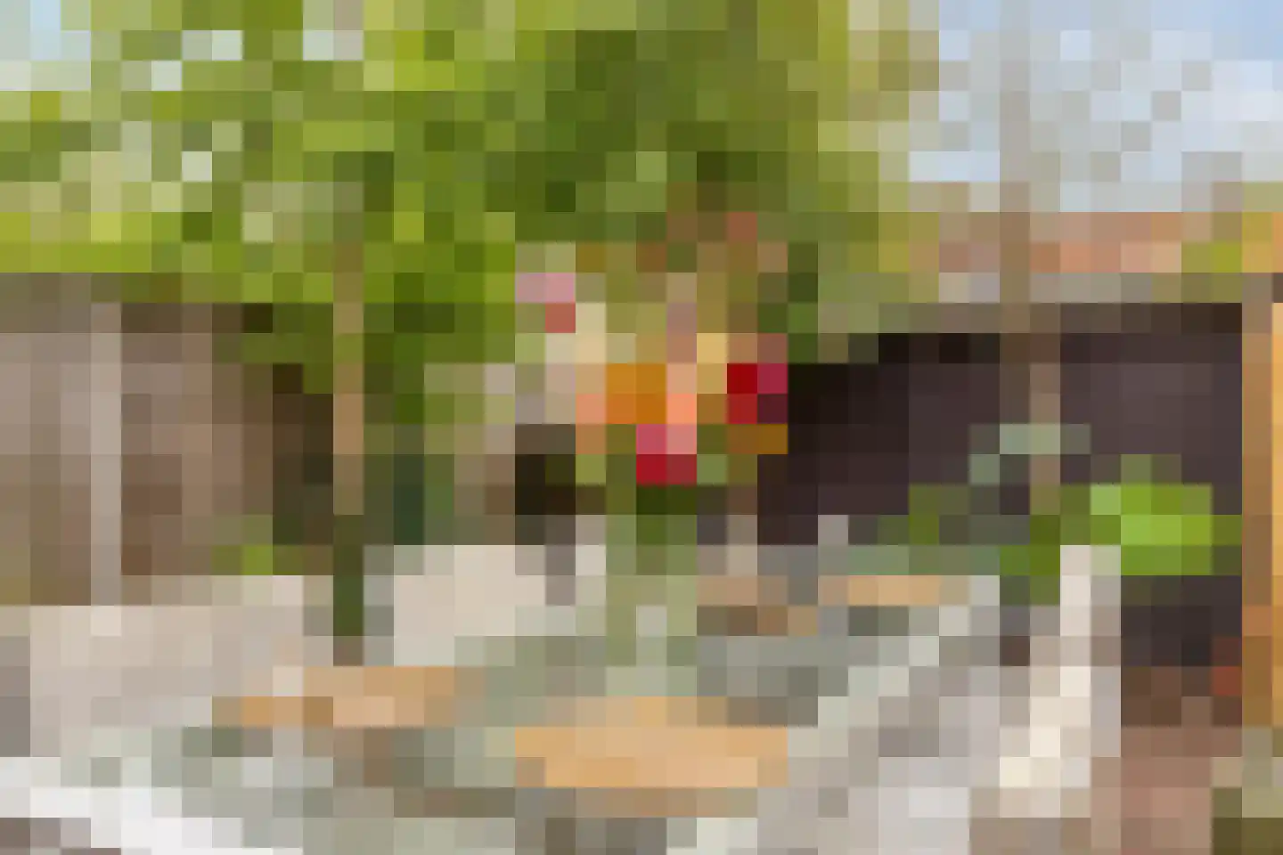 Spiraeastraat 27 Eindhoven thumbnail 43