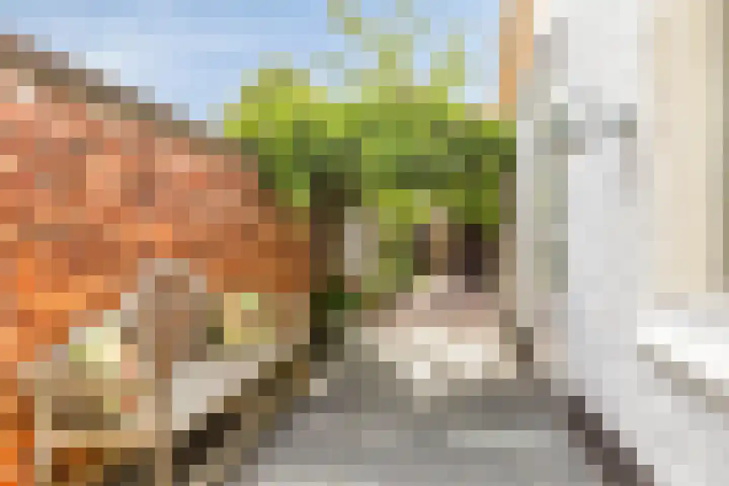 Spiraeastraat 27 Eindhoven thumbnail 44