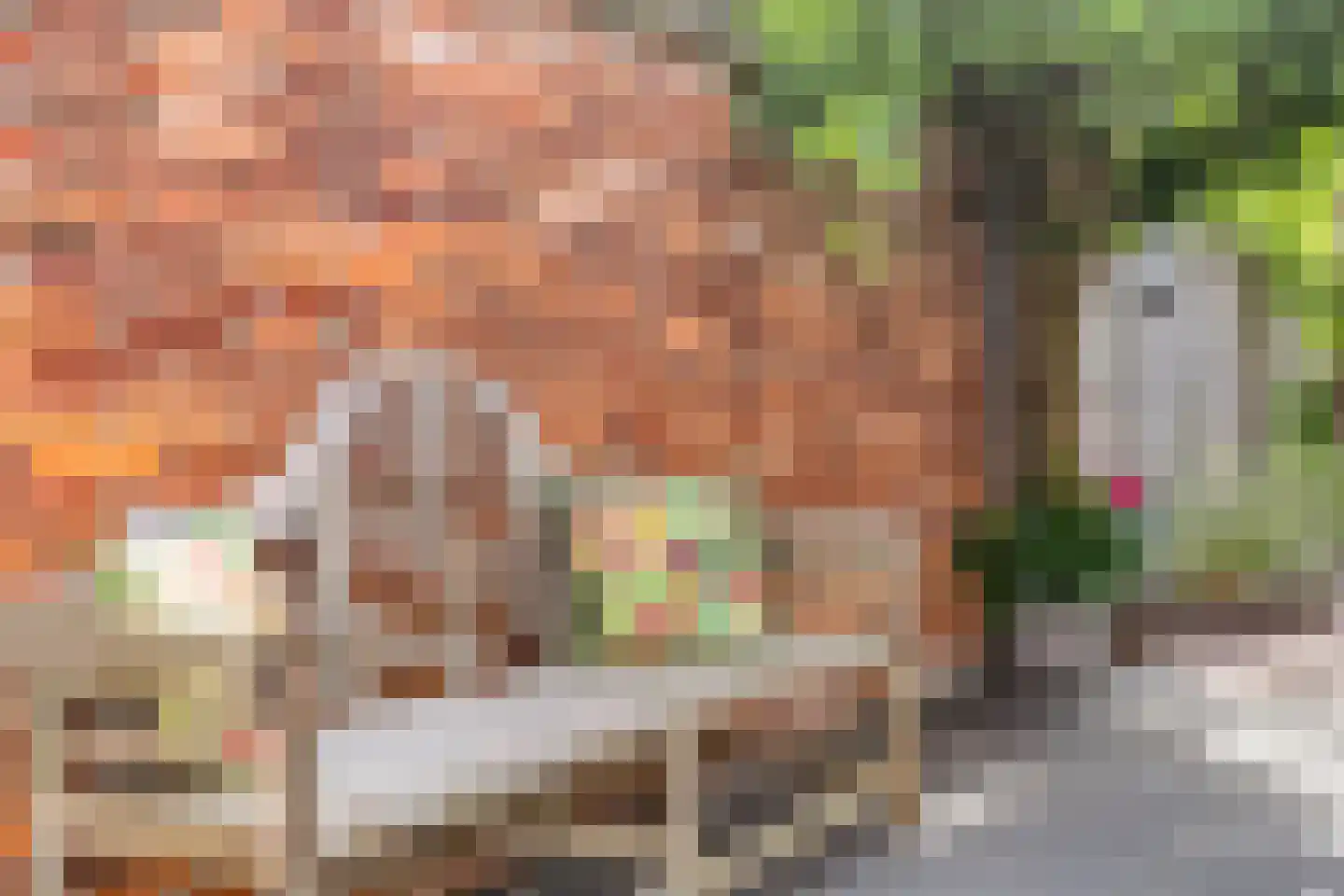 Spiraeastraat 27 Eindhoven thumbnail 45