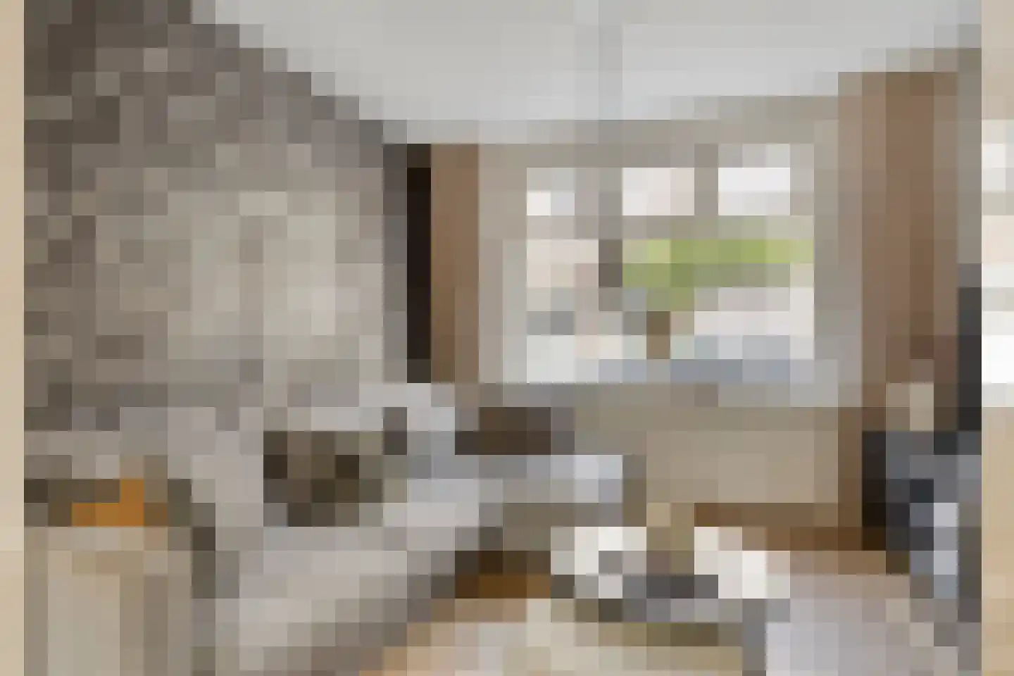 Spiraeastraat 27 Eindhoven thumbnail 6