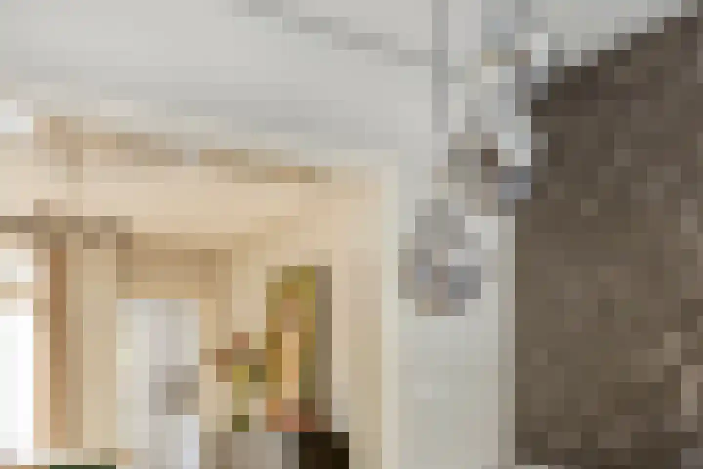 Spiraeastraat 27 Eindhoven thumbnail 9