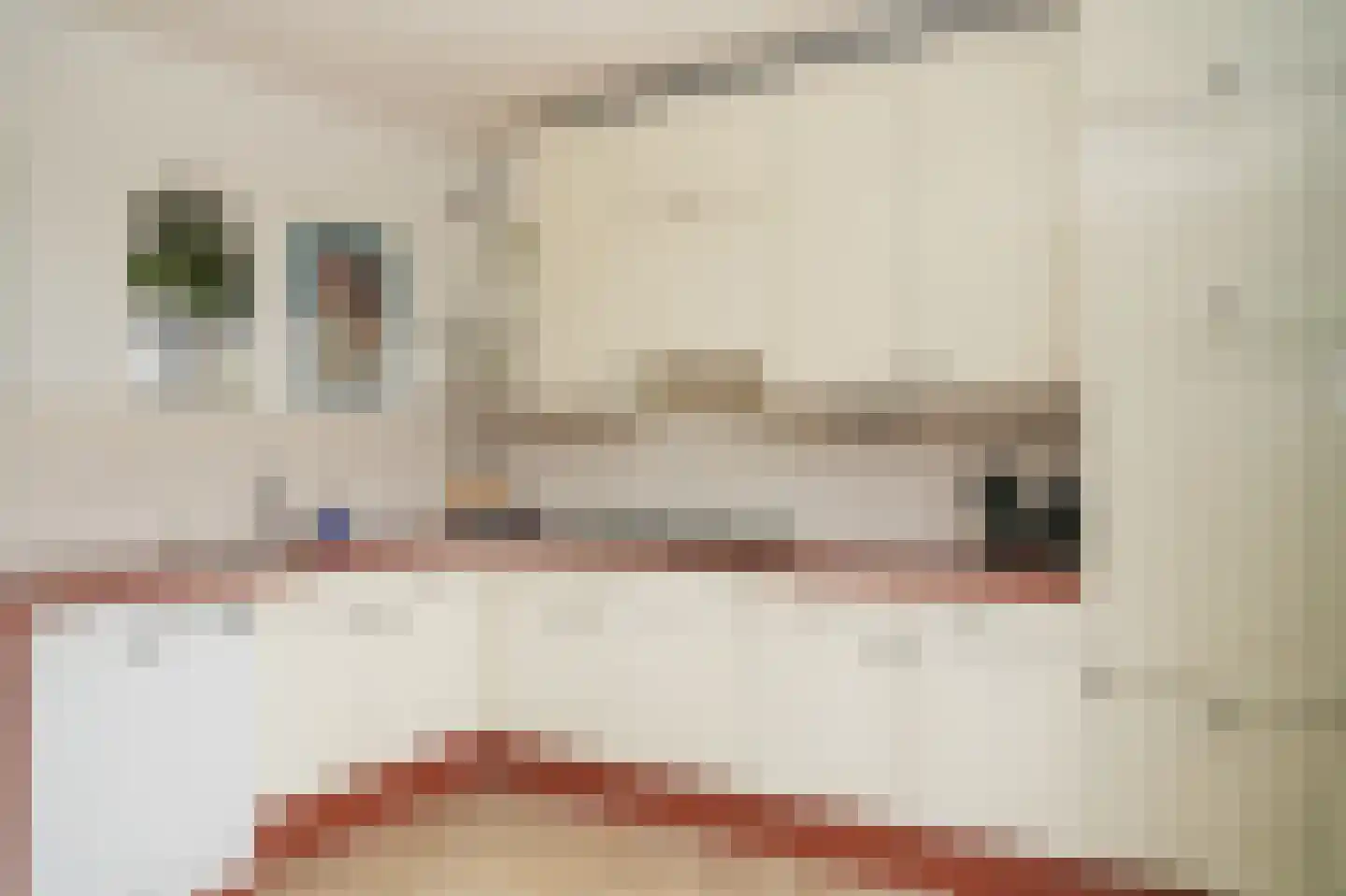 Spiraeastraat 30 Eck en Wiel thumbnail 15