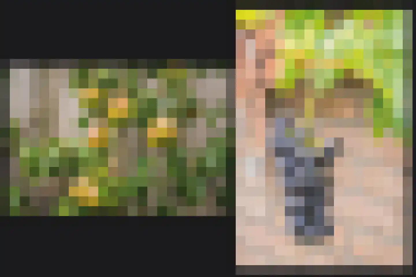 Spiraeastraat 30 Eck en Wiel thumbnail 21