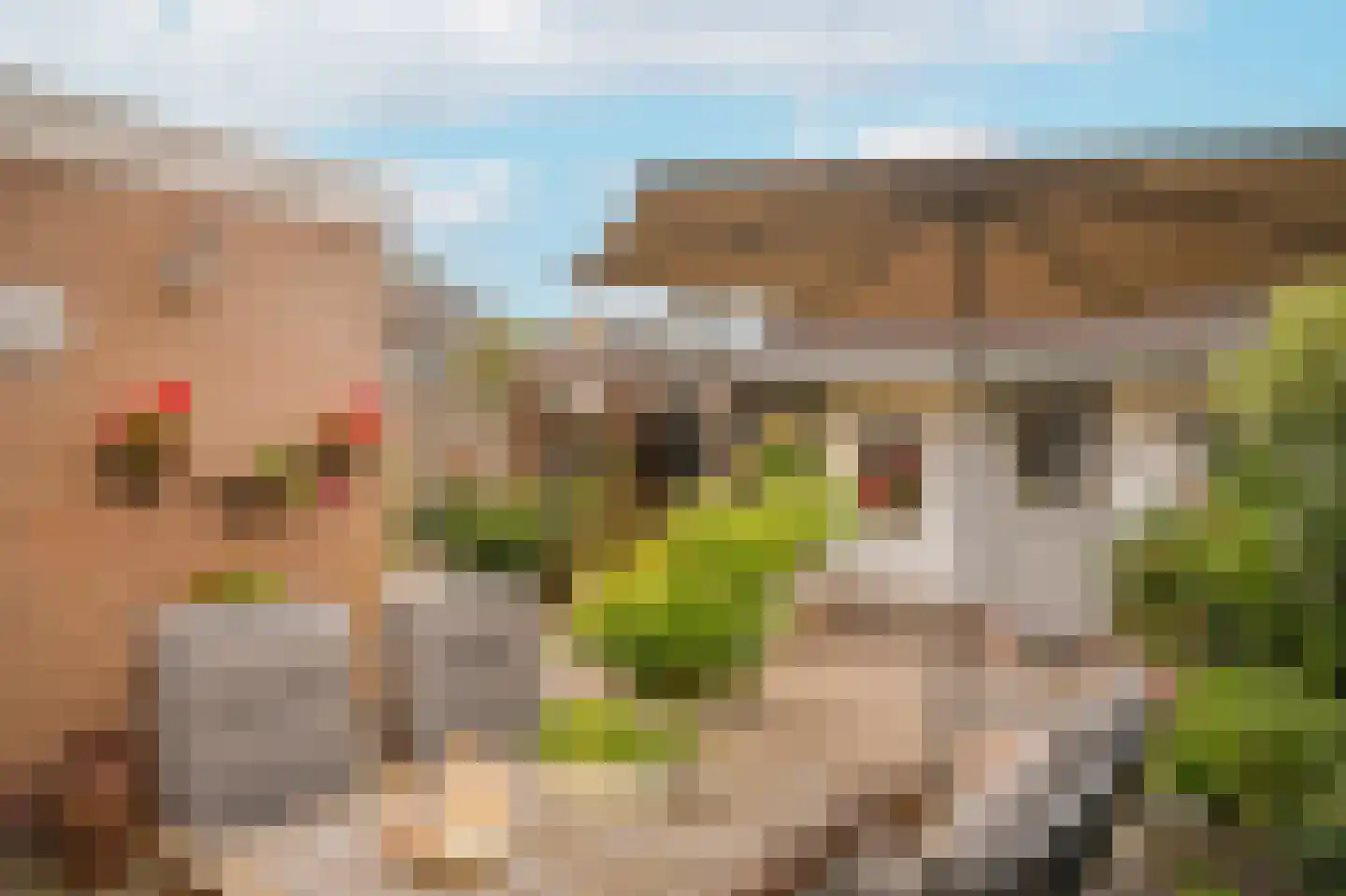 Spiraeastraat 30 Eck en Wiel thumbnail 23
