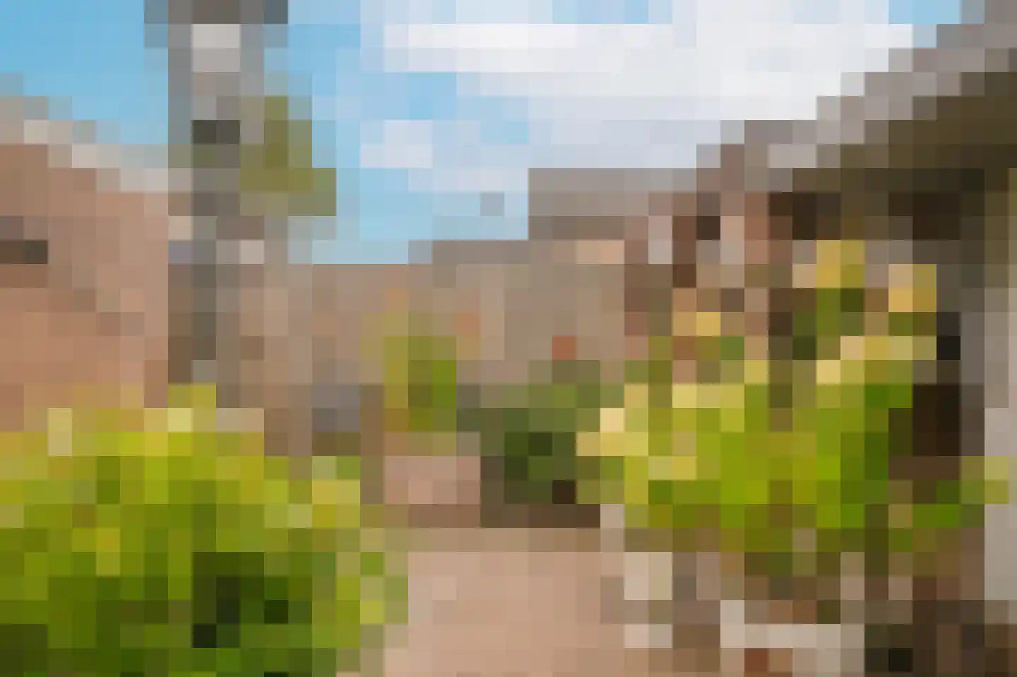 Spiraeastraat 30 Eck en Wiel thumbnail 27