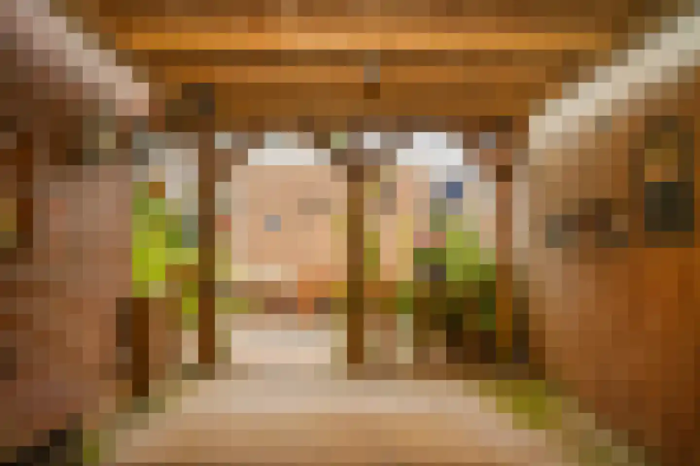 Spiraeastraat 30 Eck en Wiel thumbnail 29